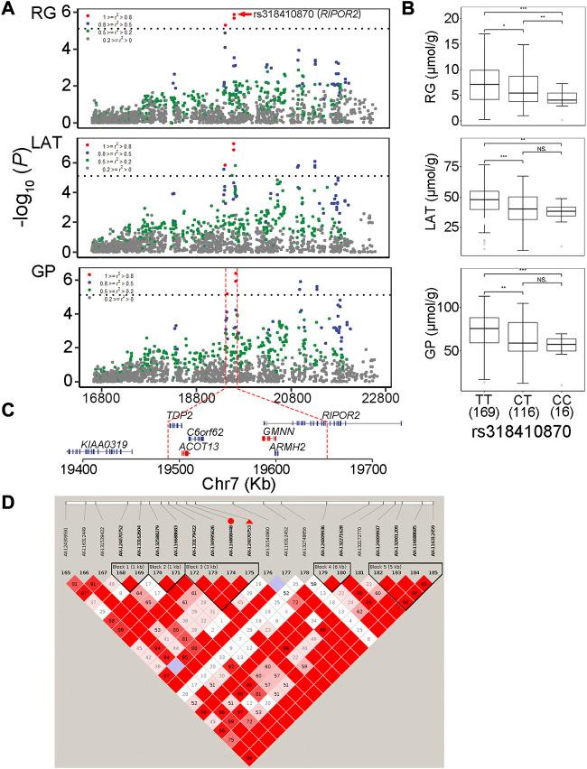 https://cdn.ncbi.nlm.nih.gov/pmc/blobs/37ad/10064215/21cf9467c7fe/fgene-14-1141411-g003.jpg