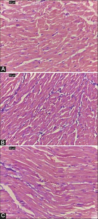 https://cdn.ncbi.nlm.nih.gov/pmc/blobs/37ae/4756171/765e9f5644dd/OpenVetJ-6-30-g003.jpg