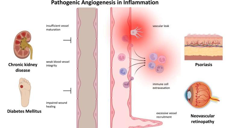 https://cdn.ncbi.nlm.nih.gov/pmc/blobs/37af/11214753/d9c0766c2341/IJN-19-6485-g0002.jpg