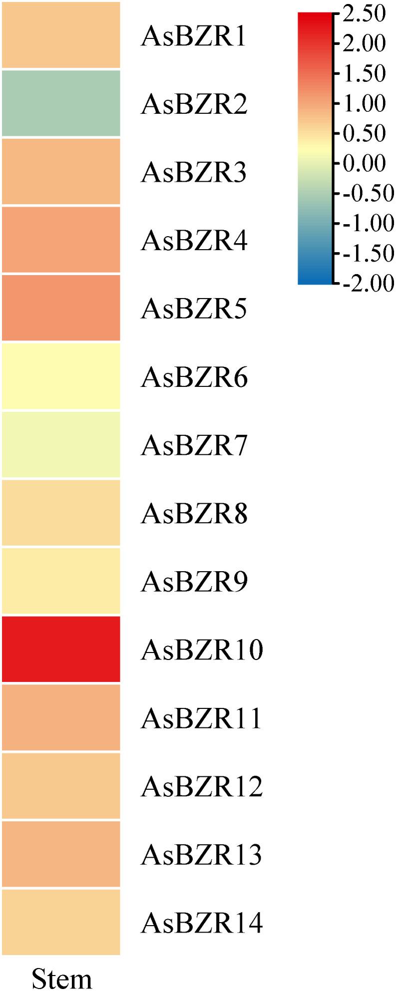 https://cdn.ncbi.nlm.nih.gov/pmc/blobs/37af/12391064/e3b1712be1b0/fpls-16-1616026-g008.jpg