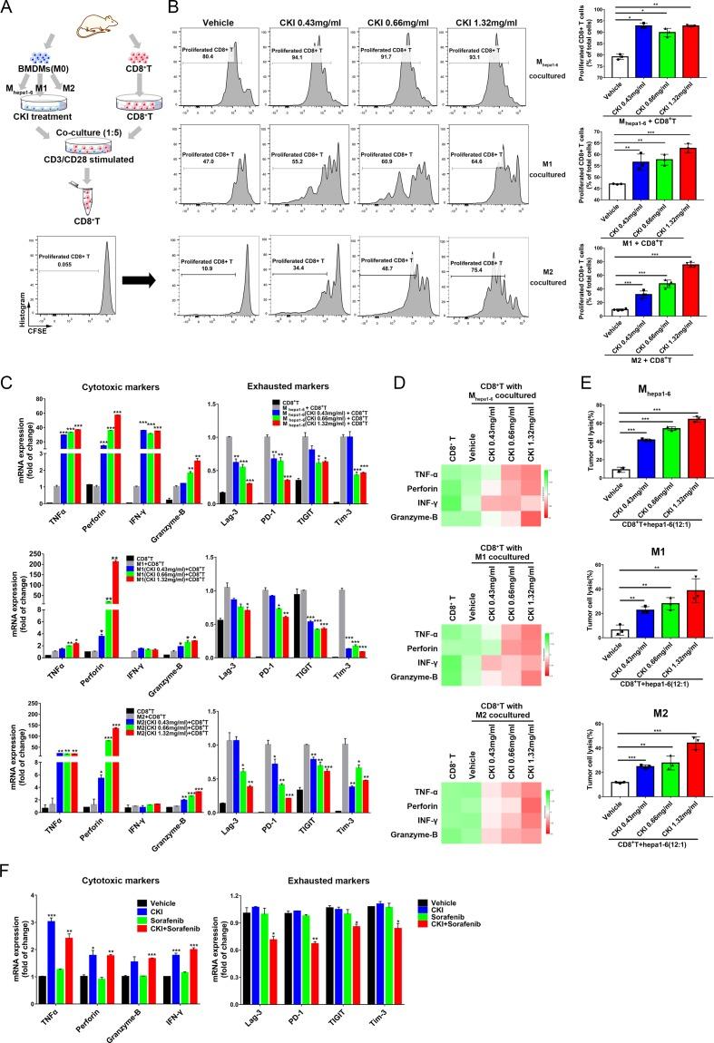https://cdn.ncbi.nlm.nih.gov/pmc/blobs/37b0/7073790/04babd06577f/jitc-2019-000317f05.jpg