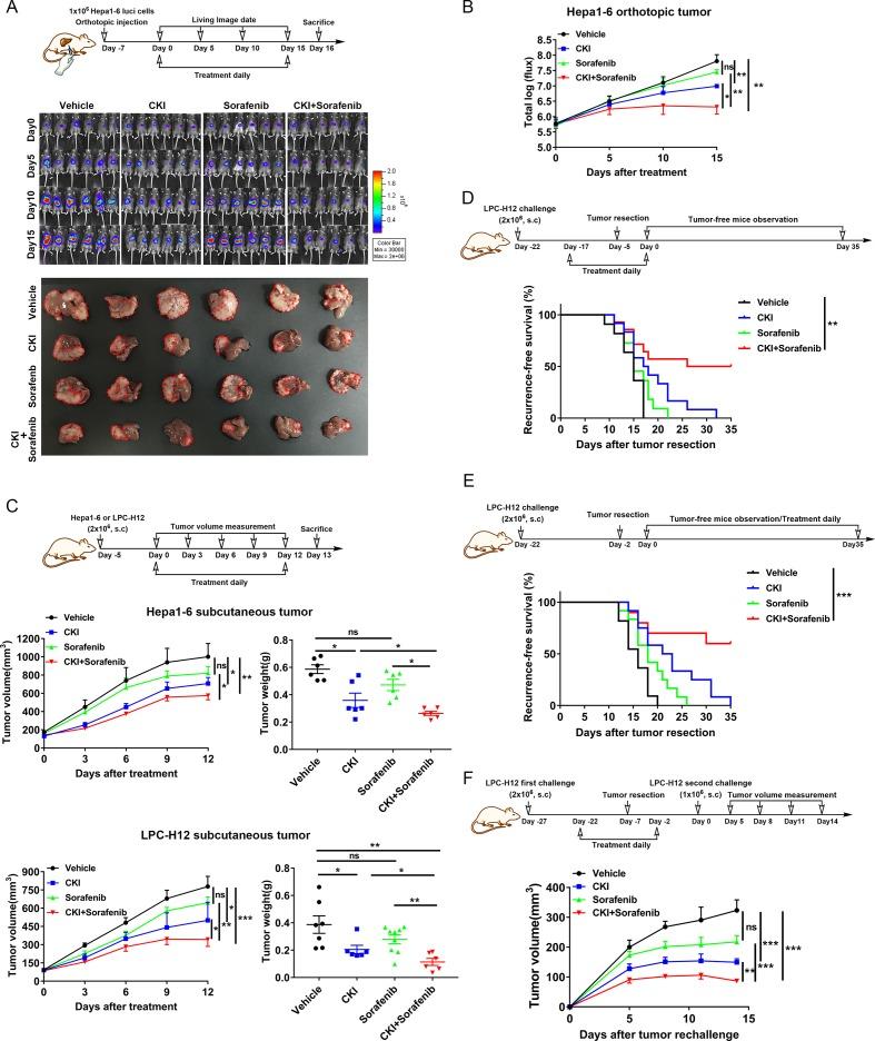 https://cdn.ncbi.nlm.nih.gov/pmc/blobs/37b0/7073790/780e458892e1/jitc-2019-000317f01.jpg