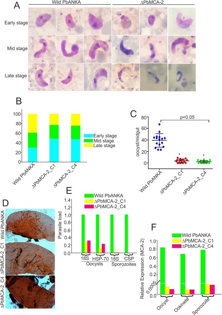 https://cdn.ncbi.nlm.nih.gov/pmc/blobs/37b0/8973346/d49df99069a4/TEMI_A_2052357_F0002_OC.jpg