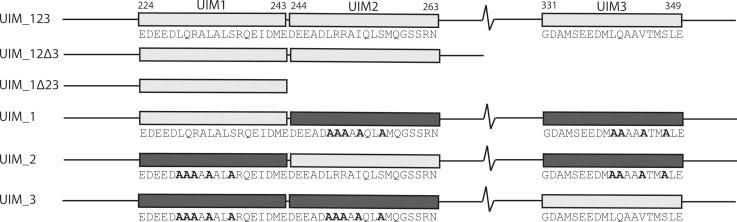 https://cdn.ncbi.nlm.nih.gov/pmc/blobs/37b2/3807529/73bcc7541b0b/bi-2013-00780v_0002.jpg
