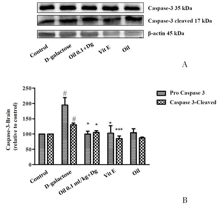 https://cdn.ncbi.nlm.nih.gov/pmc/blobs/37b2/5374336/007ada9caf55/2093-6966-v20-n01-029-g005.jpg