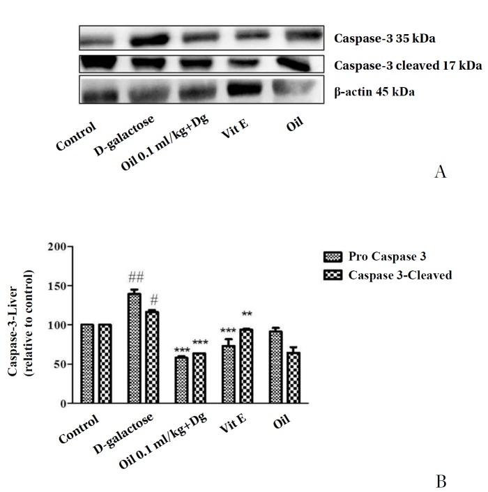 https://cdn.ncbi.nlm.nih.gov/pmc/blobs/37b2/5374336/54bc97aec20f/2093-6966-v20-n01-029-g007.jpg