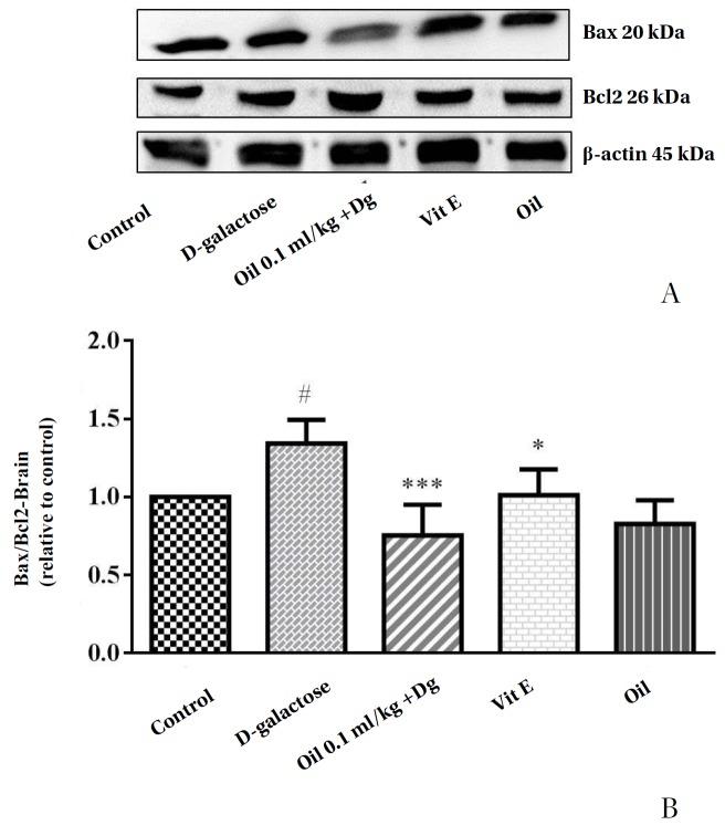 https://cdn.ncbi.nlm.nih.gov/pmc/blobs/37b2/5374336/c992c0586875/2093-6966-v20-n01-029-g004.jpg