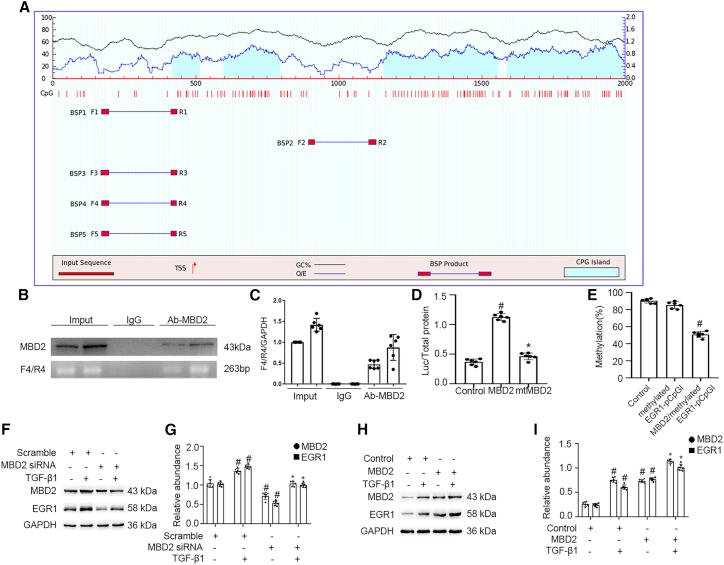 https://cdn.ncbi.nlm.nih.gov/pmc/blobs/37b2/8933641/90bc89623b7b/gr4.jpg