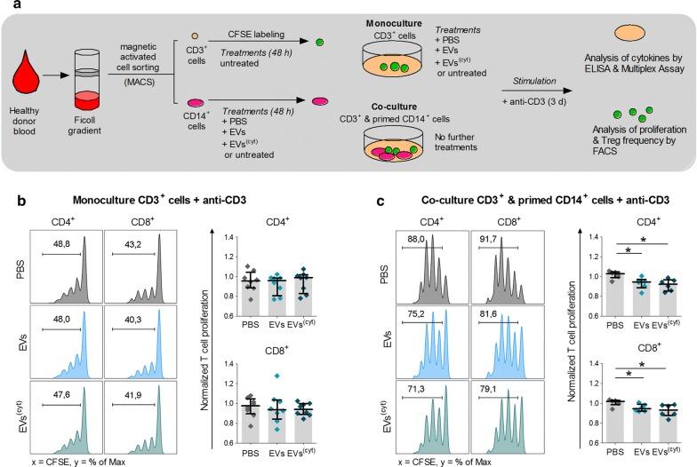 https://cdn.ncbi.nlm.nih.gov/pmc/blobs/37b3/6537224/a5391aca9275/12951_2019_504_Fig6_HTML.jpg