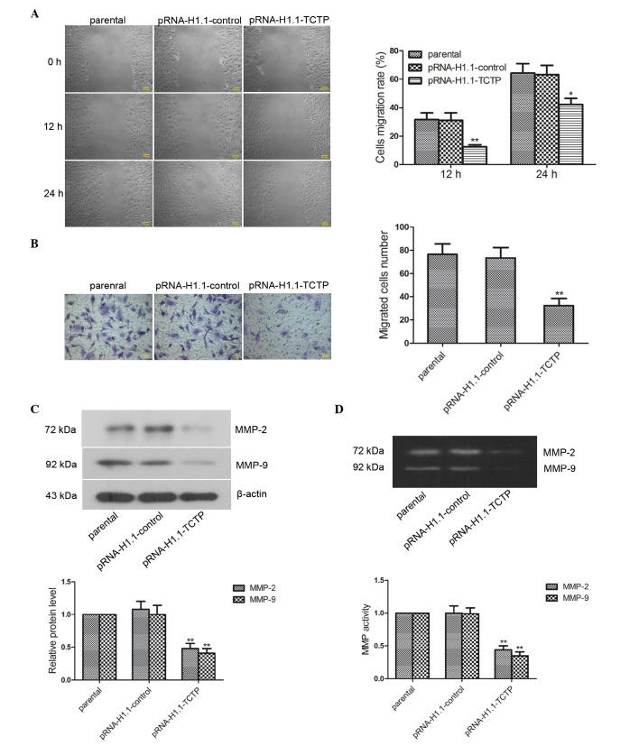 https://cdn.ncbi.nlm.nih.gov/pmc/blobs/37b4/4626190/3802aa85d0dc/MMR-12-05-6617-g03.jpg