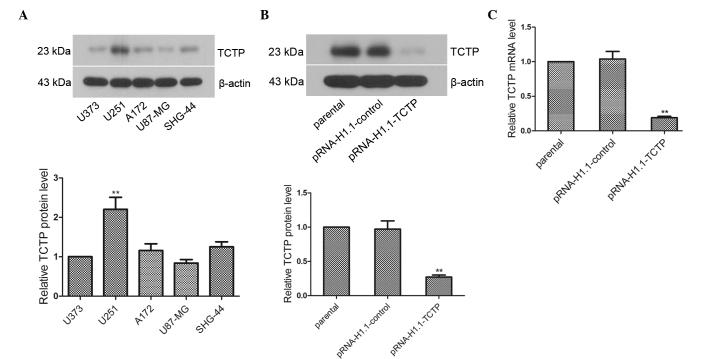 https://cdn.ncbi.nlm.nih.gov/pmc/blobs/37b4/4626190/3a8af514239c/MMR-12-05-6617-g00.jpg