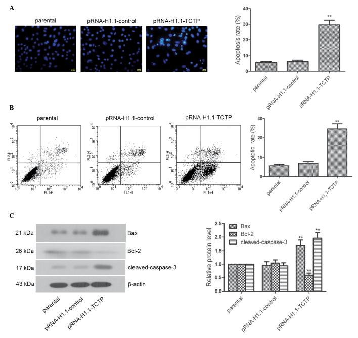 https://cdn.ncbi.nlm.nih.gov/pmc/blobs/37b4/4626190/3d0cded2ecb7/MMR-12-05-6617-g02.jpg