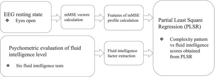 https://cdn.ncbi.nlm.nih.gov/pmc/blobs/37b4/7643359/fbb671139f3e/HBM-41-4846-g003.jpg