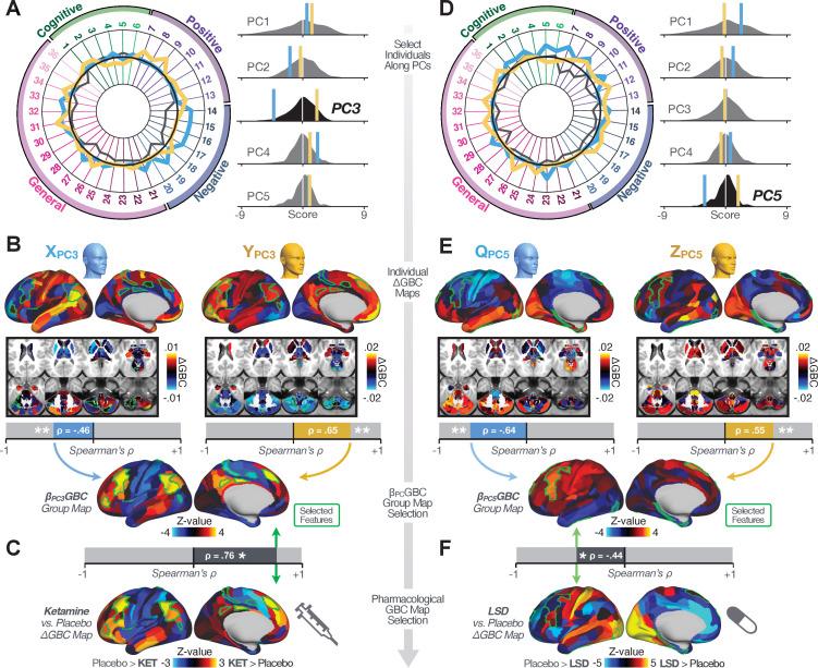 https://cdn.ncbi.nlm.nih.gov/pmc/blobs/37b6/8315806/06392f007727/elife-66968-fig7.jpg
