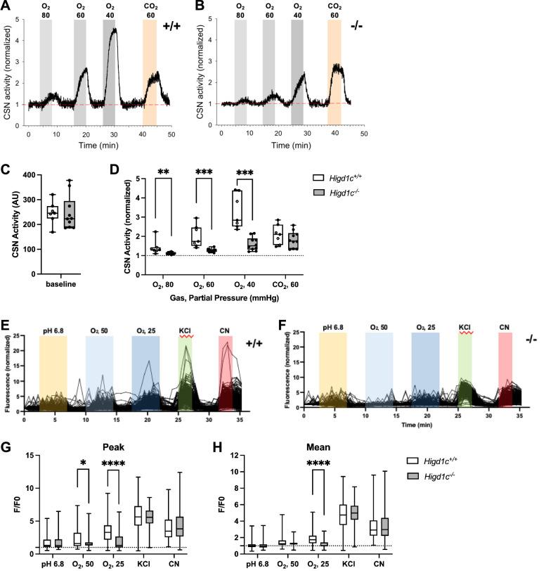 https://cdn.ncbi.nlm.nih.gov/pmc/blobs/37b6/9635879/823a94336c2c/elife-78915-fig3.jpg