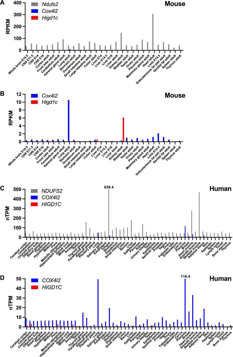 https://cdn.ncbi.nlm.nih.gov/pmc/blobs/37b6/9635879/8c0204b30d82/elife-78915-fig1-figsupp1.jpg