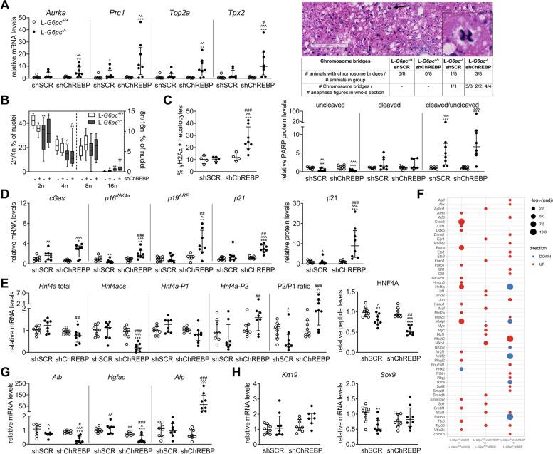 https://cdn.ncbi.nlm.nih.gov/pmc/blobs/37b8/10122297/c0ec747dddd4/40170_2023_305_Fig4_HTML.jpg