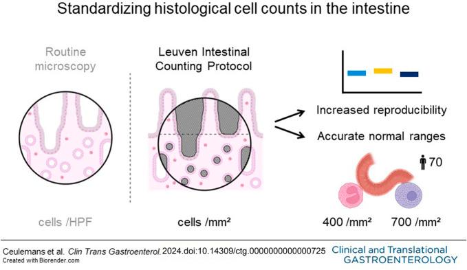 https://cdn.ncbi.nlm.nih.gov/pmc/blobs/37b8/11272351/44de675446c6/ct9-15-e00725-g001.jpg