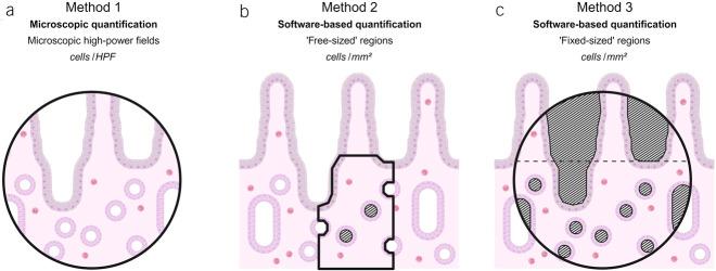 https://cdn.ncbi.nlm.nih.gov/pmc/blobs/37b8/11272351/a53c7471298e/ct9-15-e00725-g002.jpg