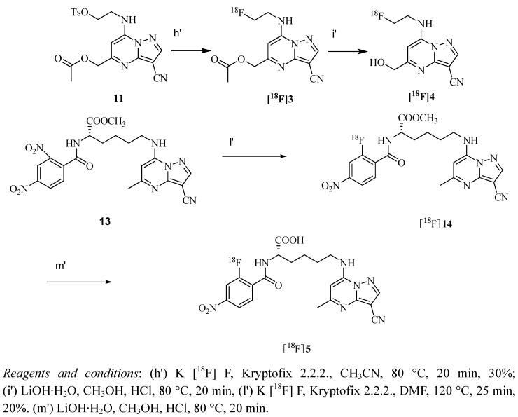 https://cdn.ncbi.nlm.nih.gov/pmc/blobs/37bb/6268720/bea62596d298/molecules-17-03774-g004.jpg