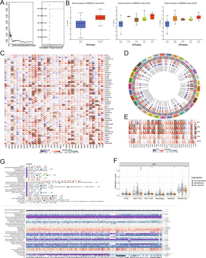 https://cdn.ncbi.nlm.nih.gov/pmc/blobs/37bd/11383847/308e208997e9/10238_2024_1465_Fig11_HTML.jpg