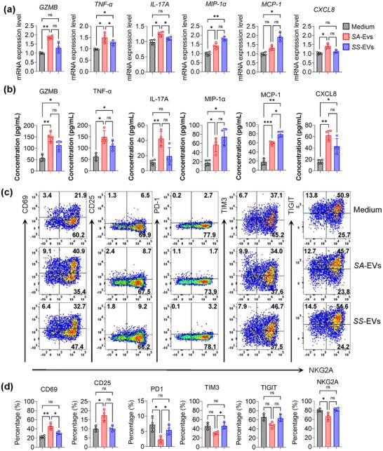 https://cdn.ncbi.nlm.nih.gov/pmc/blobs/37bd/12269530/a05045fd1b9a/JEV2-14-e70134-g003.jpg