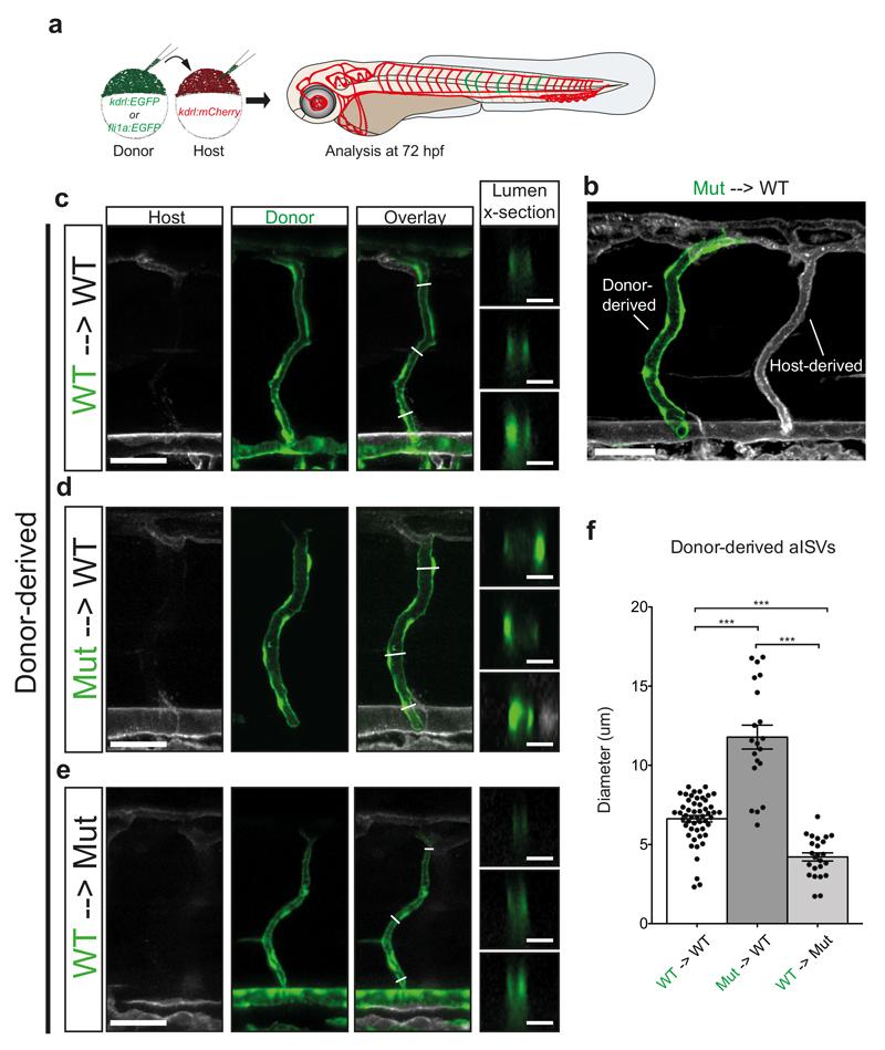 https://cdn.ncbi.nlm.nih.gov/pmc/blobs/37bf/5455977/b95630e09867/emss-72239-f006.jpg