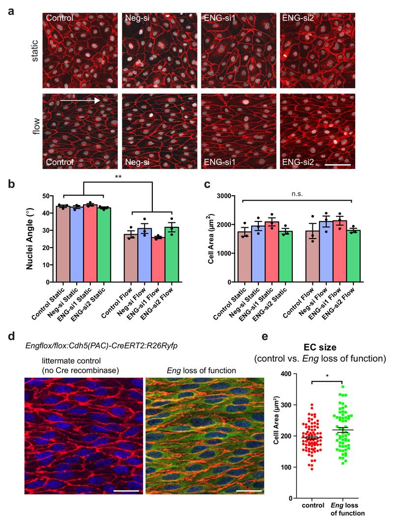 https://cdn.ncbi.nlm.nih.gov/pmc/blobs/37bf/5455977/c94a33f263c8/emss-72239-f008.jpg