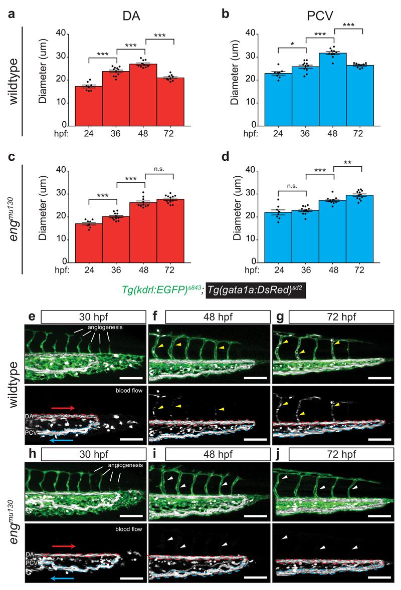 https://cdn.ncbi.nlm.nih.gov/pmc/blobs/37bf/5455977/df7296fdc18d/emss-72239-f003.jpg