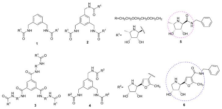 https://cdn.ncbi.nlm.nih.gov/pmc/blobs/37bf/9457877/8d33413df216/molecules-27-05420-g003.jpg