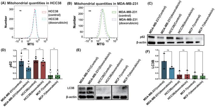 https://cdn.ncbi.nlm.nih.gov/pmc/blobs/37c0/10854452/4c857f1e6903/CAM4-13-e6987-g005.jpg