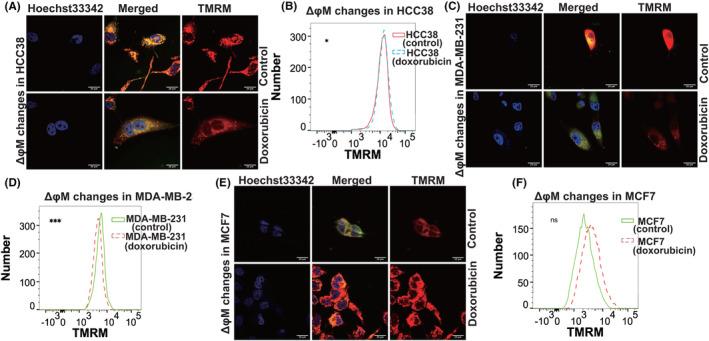 https://cdn.ncbi.nlm.nih.gov/pmc/blobs/37c0/10854452/65b60e1350a8/CAM4-13-e6987-g003.jpg