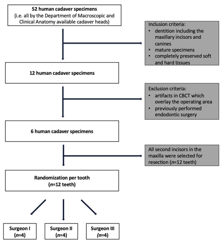 https://cdn.ncbi.nlm.nih.gov/pmc/blobs/37c5/10572956/1951c48e5e25/diagnostics-13-03037-g001.jpg