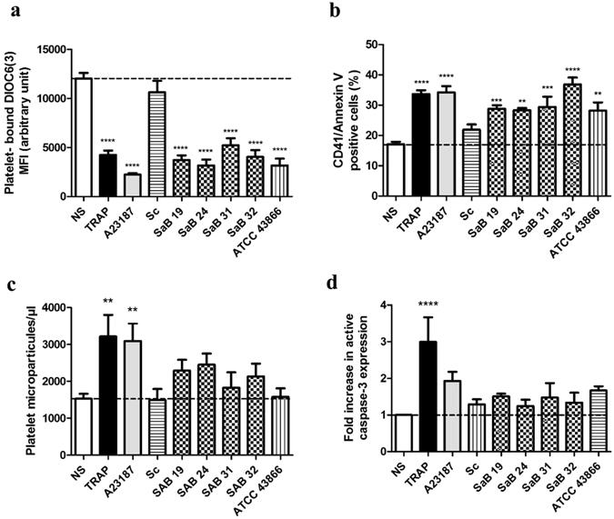 https://cdn.ncbi.nlm.nih.gov/pmc/blobs/37c5/5514152/3440c4b8ae52/41598_2017_6024_Fig5_HTML.jpg