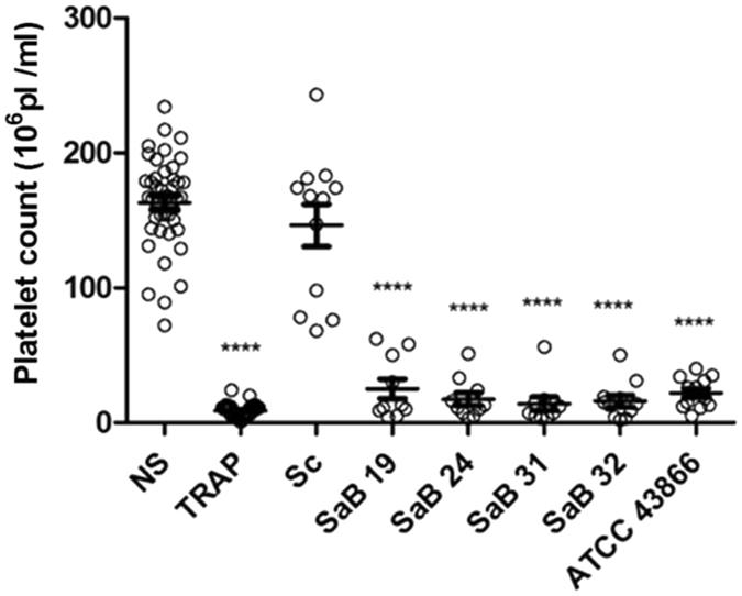 https://cdn.ncbi.nlm.nih.gov/pmc/blobs/37c5/5514152/77311cc5c71b/41598_2017_6024_Fig1_HTML.jpg