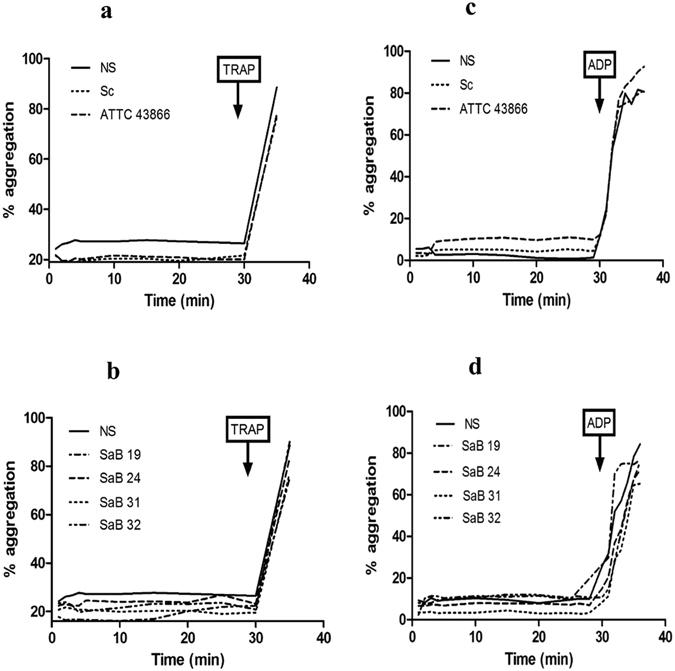 https://cdn.ncbi.nlm.nih.gov/pmc/blobs/37c5/5514152/e079321f8b0e/41598_2017_6024_Fig4_HTML.jpg