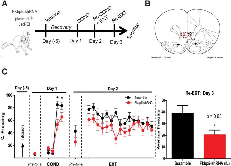 https://cdn.ncbi.nlm.nih.gov/pmc/blobs/37c6/5362697/17ef1aecb9a8/Criado-MarreroLM043000f05.jpg