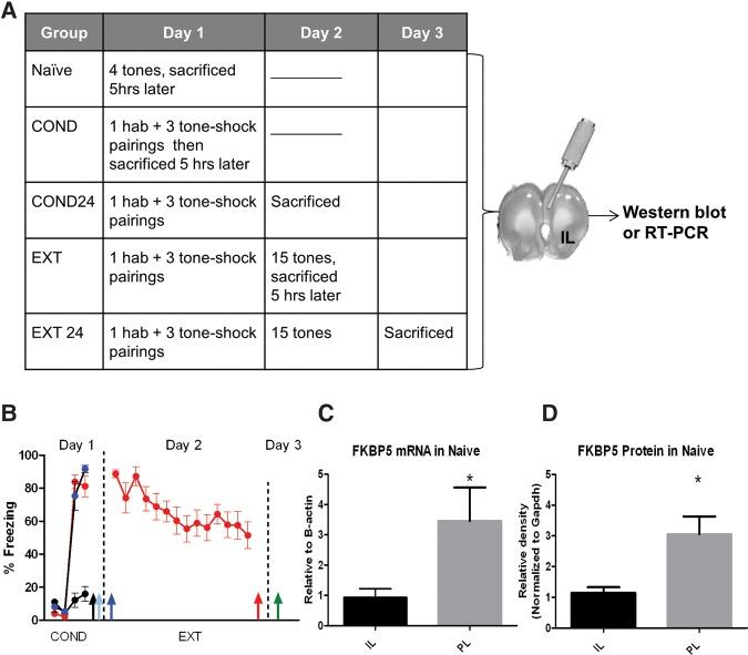 https://cdn.ncbi.nlm.nih.gov/pmc/blobs/37c6/5362697/67ba574f3ea6/Criado-MarreroLM043000f01.jpg