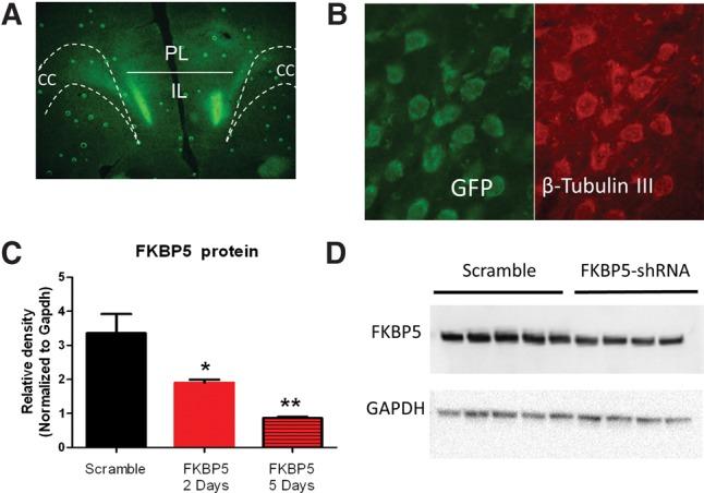 https://cdn.ncbi.nlm.nih.gov/pmc/blobs/37c6/5362697/a070de53ac80/Criado-MarreroLM043000f04.jpg