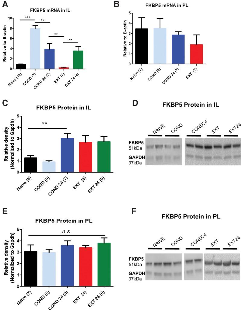 https://cdn.ncbi.nlm.nih.gov/pmc/blobs/37c6/5362697/d9eb09843317/Criado-MarreroLM043000f02.jpg