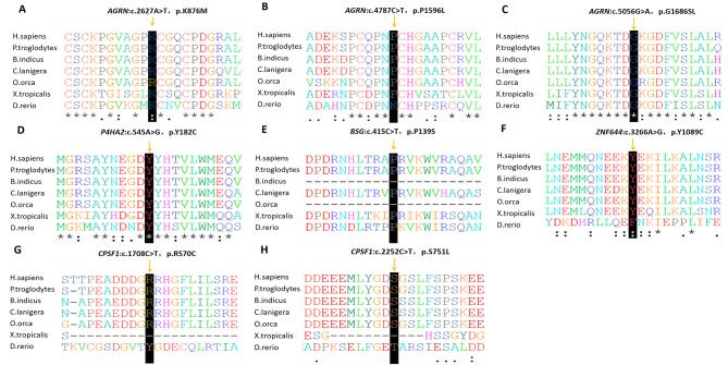 https://cdn.ncbi.nlm.nih.gov/pmc/blobs/37c7/8684808/36b352464e30/mv-v27-706-f3.jpg