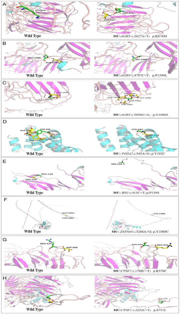 https://cdn.ncbi.nlm.nih.gov/pmc/blobs/37c7/8684808/e231443f0286/mv-v27-706-f4.jpg