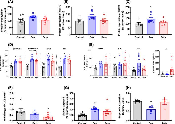 https://cdn.ncbi.nlm.nih.gov/pmc/blobs/37c8/10946807/7b8e5e66ab51/FSB2-37-0-g008.jpg