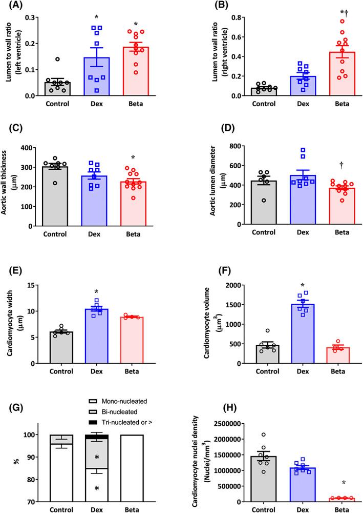 https://cdn.ncbi.nlm.nih.gov/pmc/blobs/37c8/10946807/8147ebce9d53/FSB2-37-0-g006.jpg