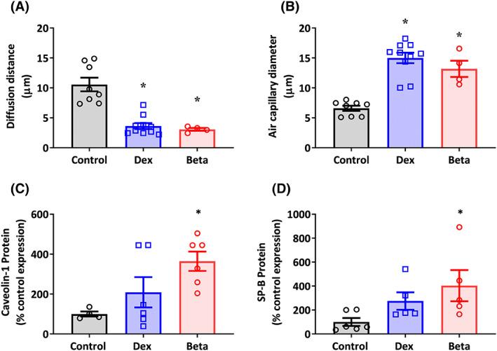 https://cdn.ncbi.nlm.nih.gov/pmc/blobs/37c8/10946807/8c837bd5acbd/FSB2-37-0-g005.jpg