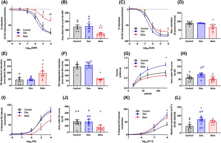 https://cdn.ncbi.nlm.nih.gov/pmc/blobs/37c8/10946807/c9b5ff321c3e/FSB2-37-0-g007.jpg