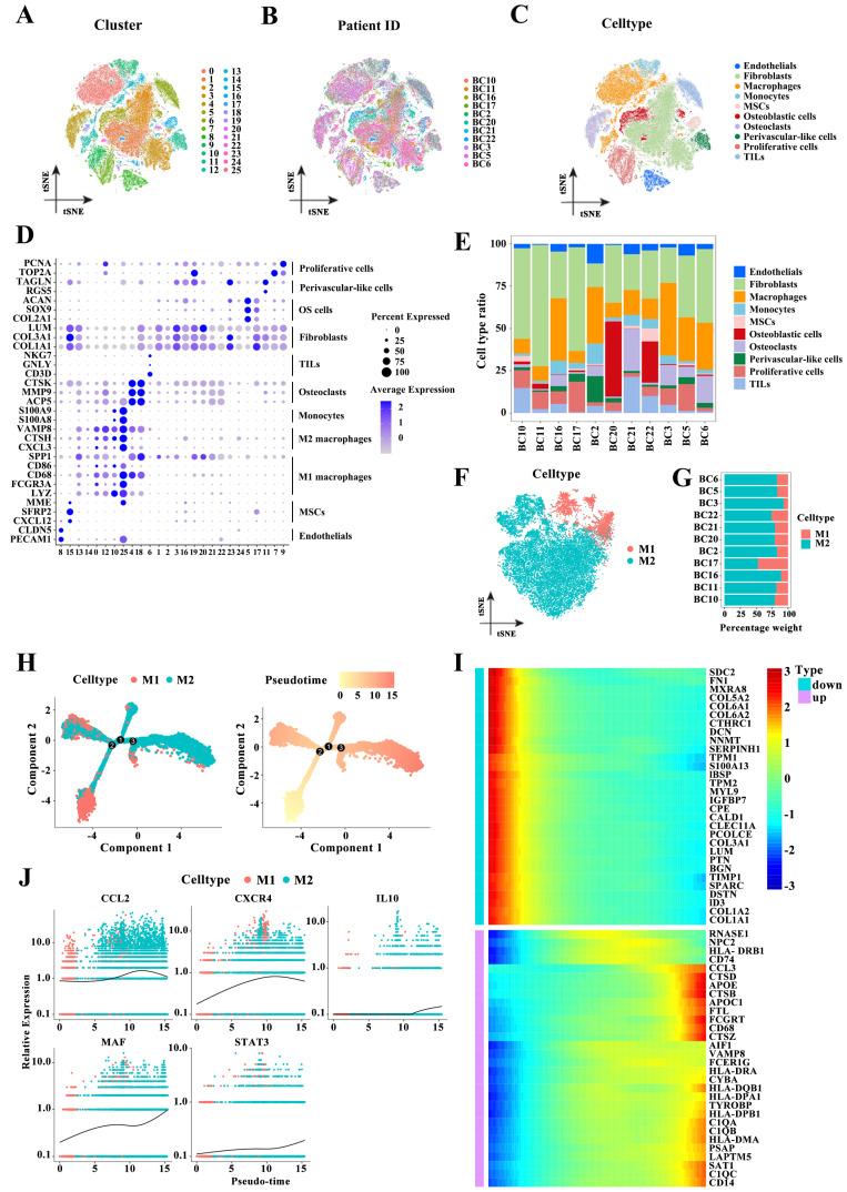 https://cdn.ncbi.nlm.nih.gov/pmc/blobs/37c8/11905420/432a5ed8aa99/jcav16p1873g001.jpg