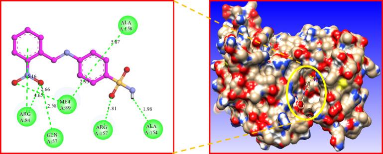 https://cdn.ncbi.nlm.nih.gov/pmc/blobs/37c8/12402184/5ae0c0e65bfa/41598_2025_16530_Fig19_HTML.jpg