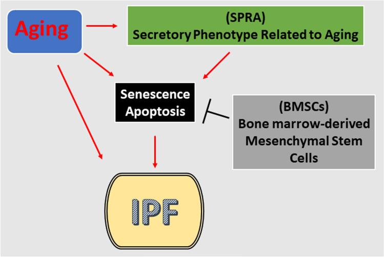 https://cdn.ncbi.nlm.nih.gov/pmc/blobs/37c9/11072371/6823b5b05a01/18_2020_3693_Fig2_HTML.jpg