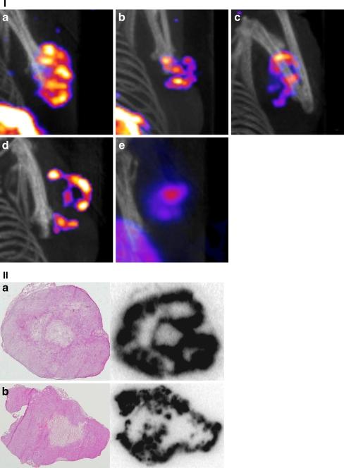 https://cdn.ncbi.nlm.nih.gov/pmc/blobs/37ca/2886136/00efb76d9c35/259_2010_1388_Fig4_HTML.jpg